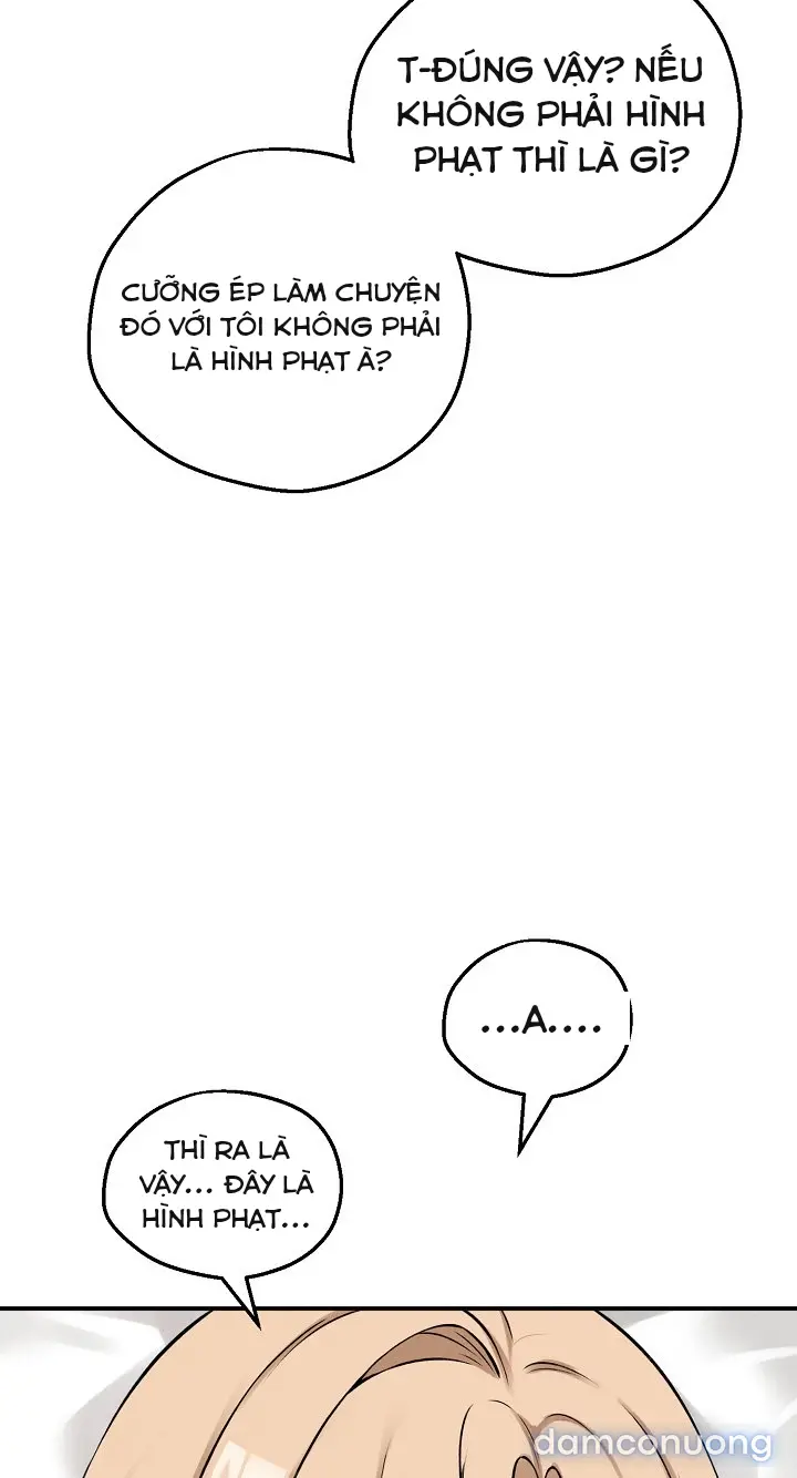 Trò chơi cờ bàn thú vị: 
