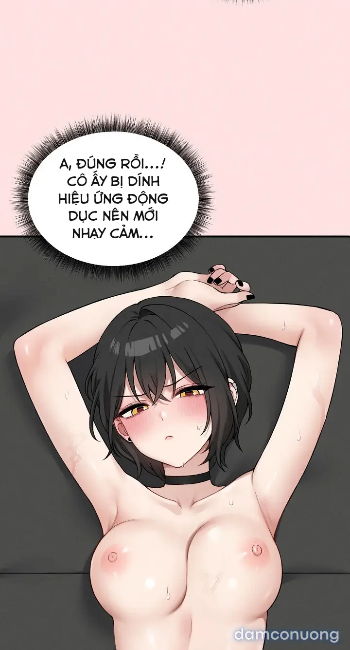 Trò chơi cờ bàn thú vị: 