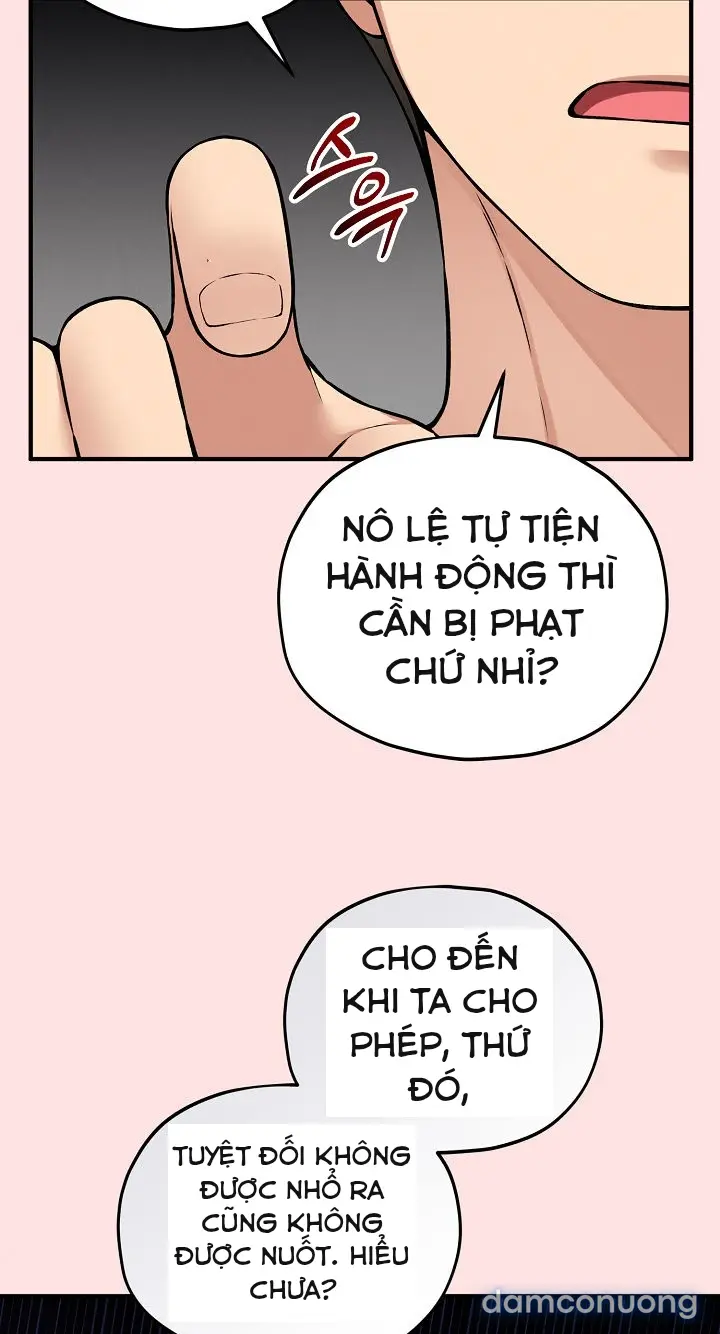 Trò chơi cờ bàn thú vị: 