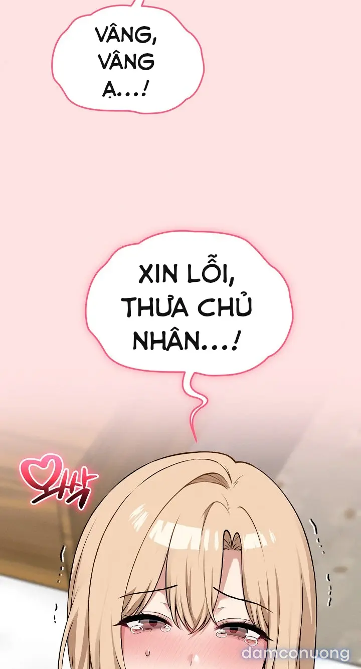 Trò chơi cờ bàn thú vị: 