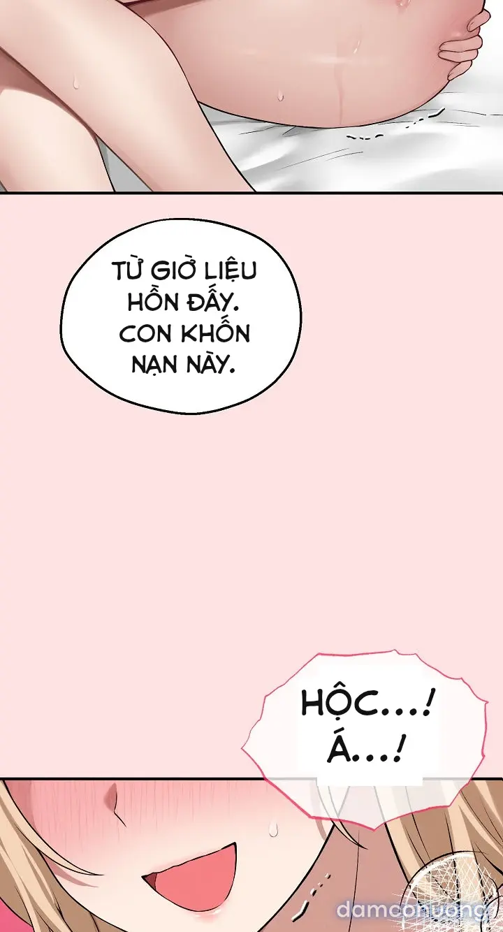 Trò chơi cờ bàn thú vị: 