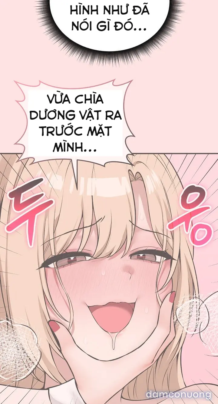 Trò chơi cờ bàn thú vị: 