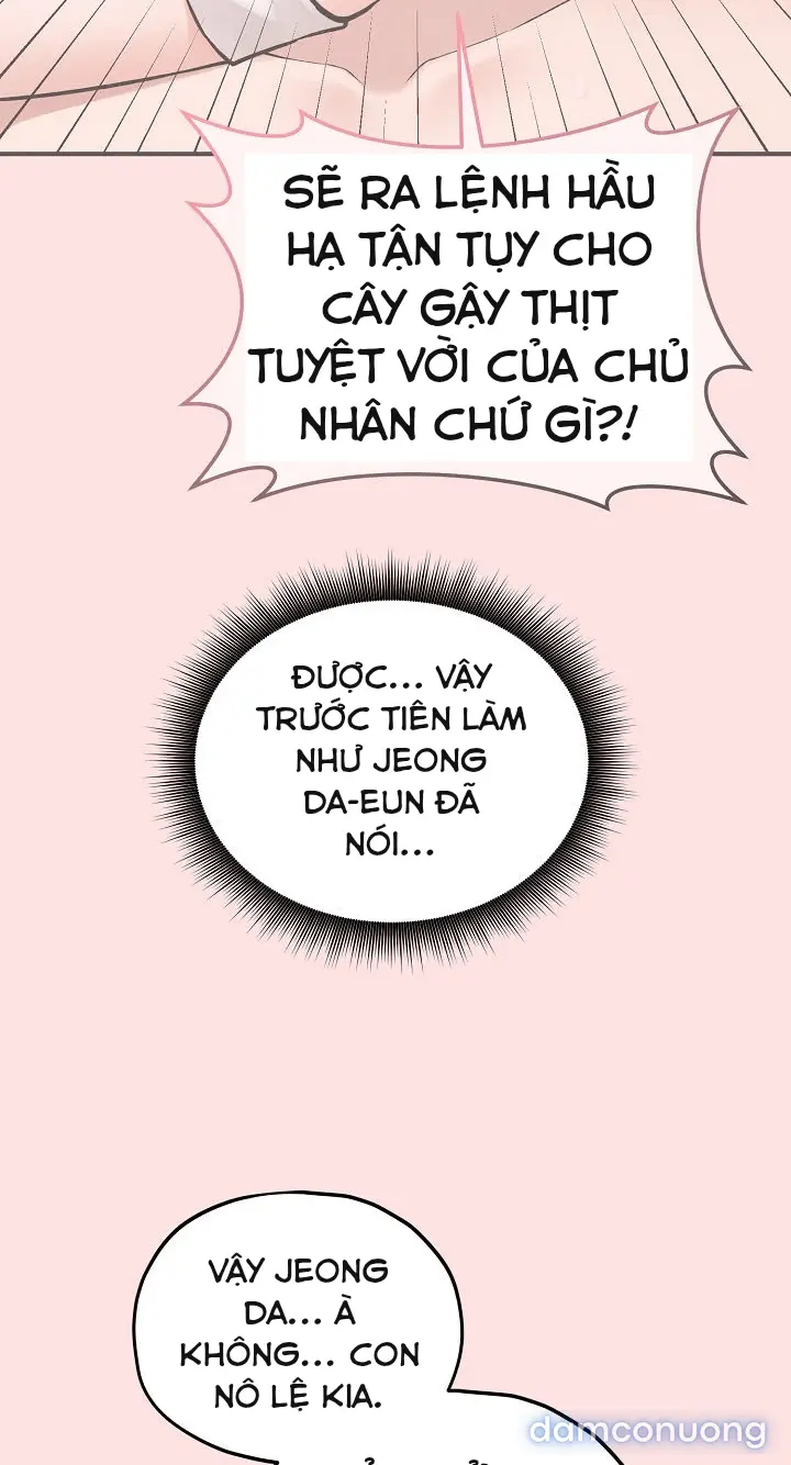 Trò chơi cờ bàn thú vị: 