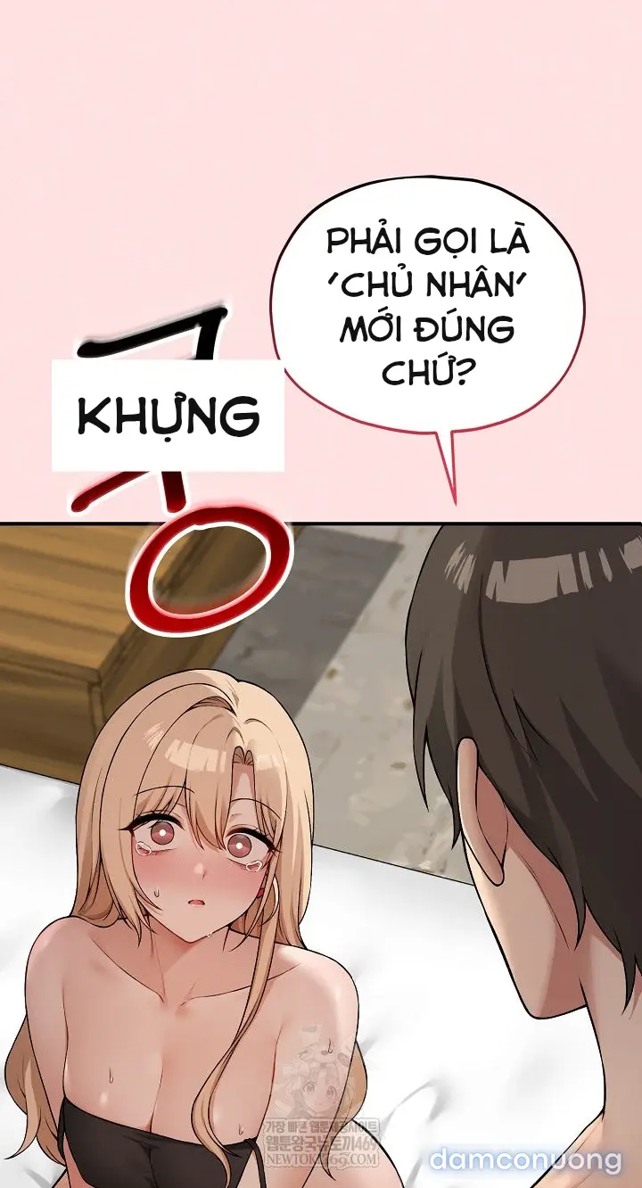 Trò chơi cờ bàn thú vị: 