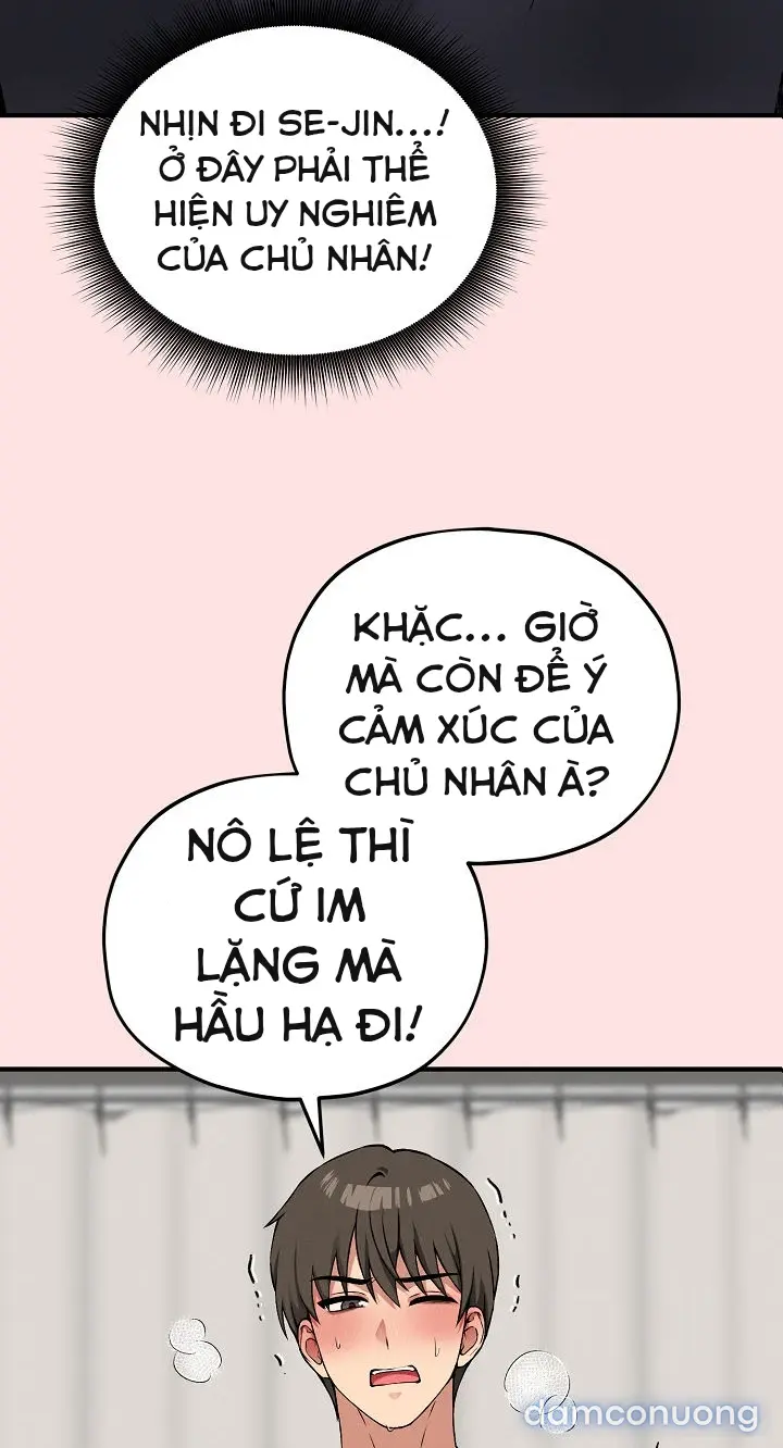 Trò chơi cờ bàn thú vị: 