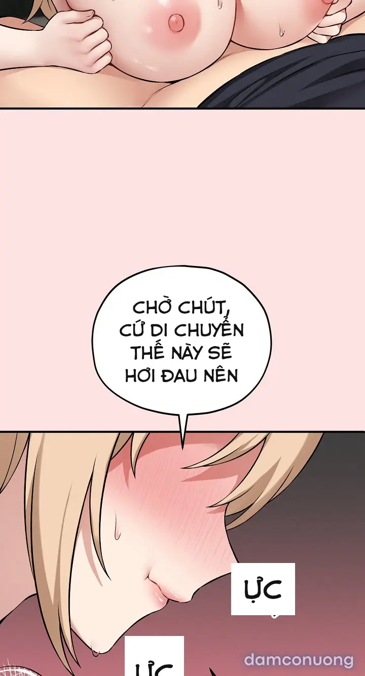 Trò chơi cờ bàn thú vị: 