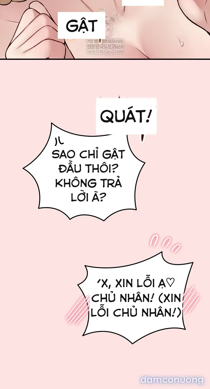 Trò chơi cờ bàn thú vị: 