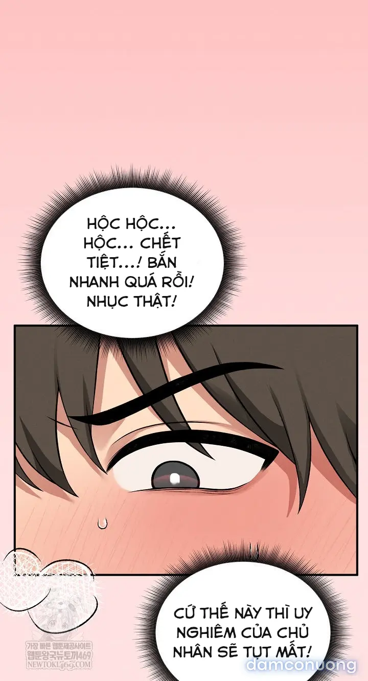 Trò chơi cờ bàn thú vị: 