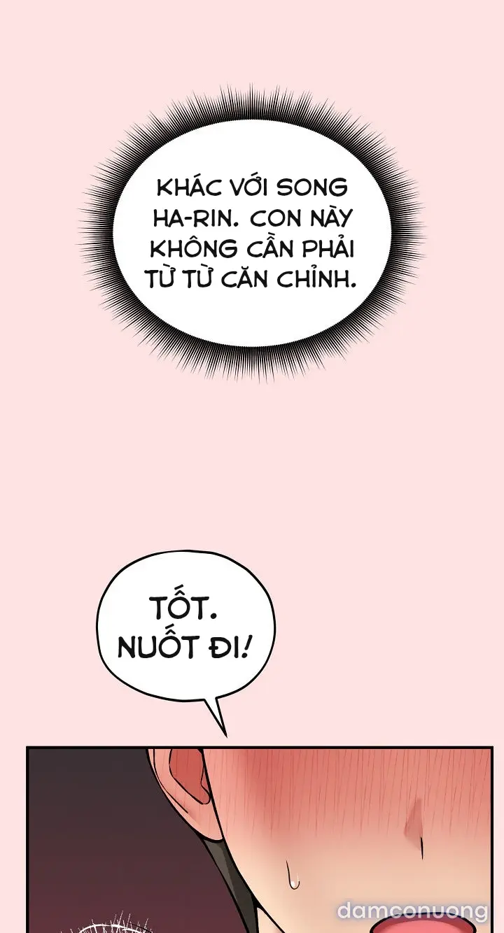 Trò chơi cờ bàn thú vị: 