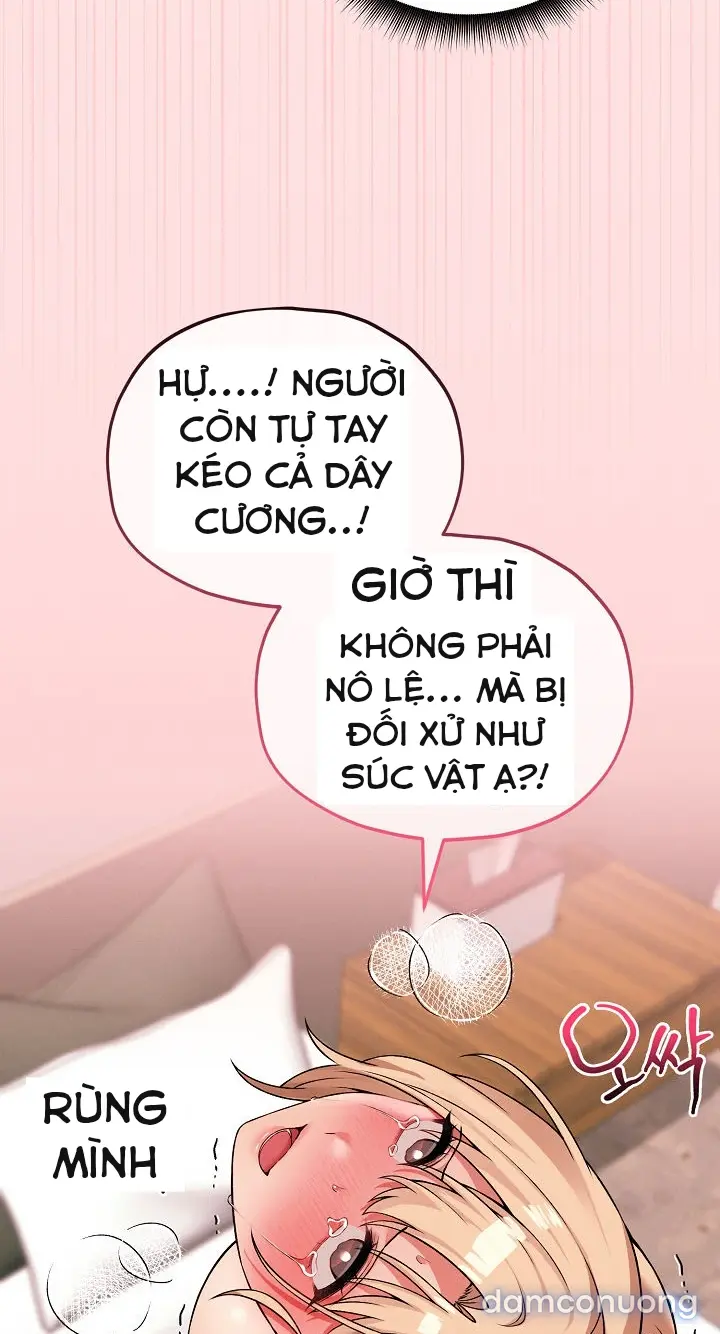 Trò chơi cờ bàn thú vị: 