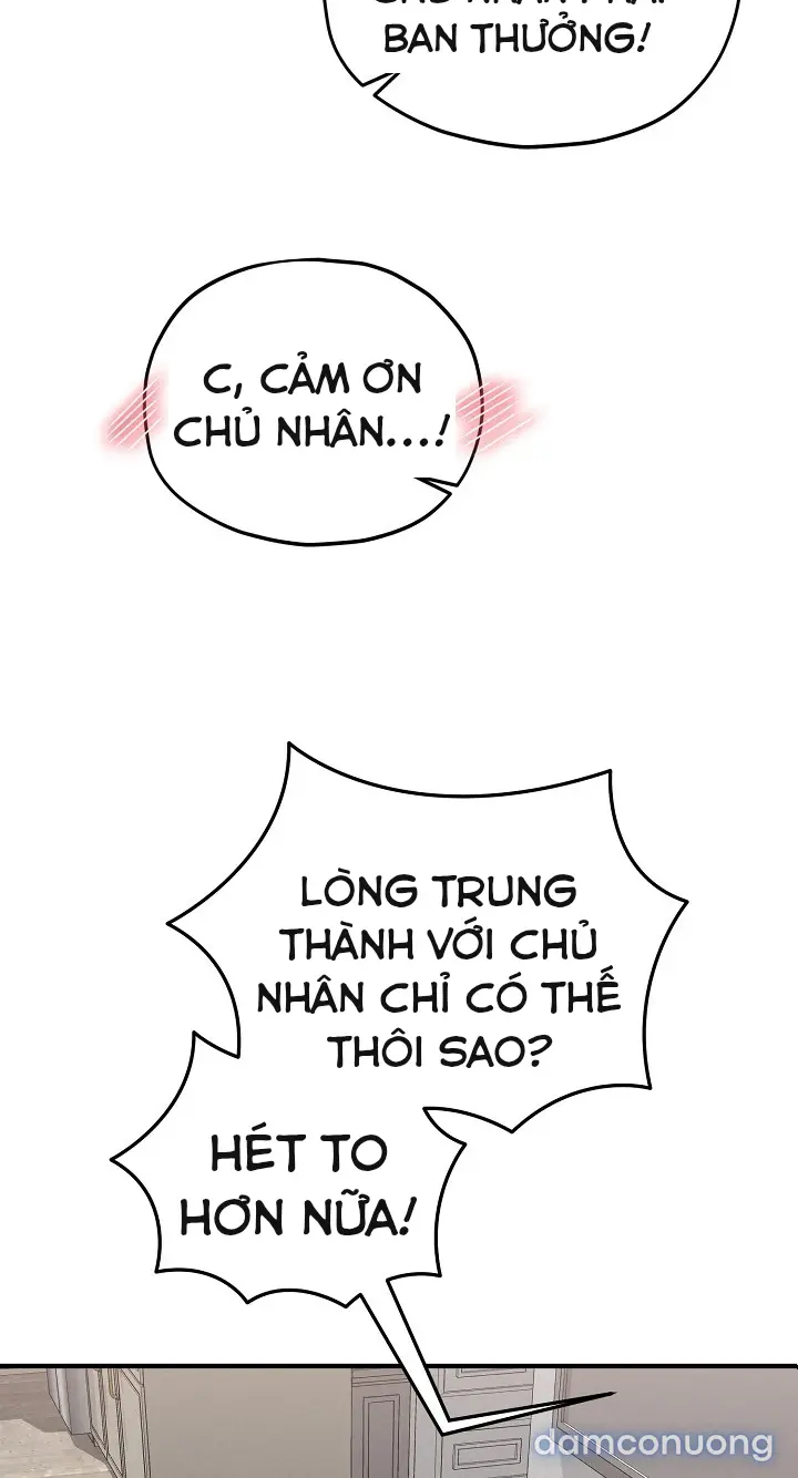 Trò chơi cờ bàn thú vị: 