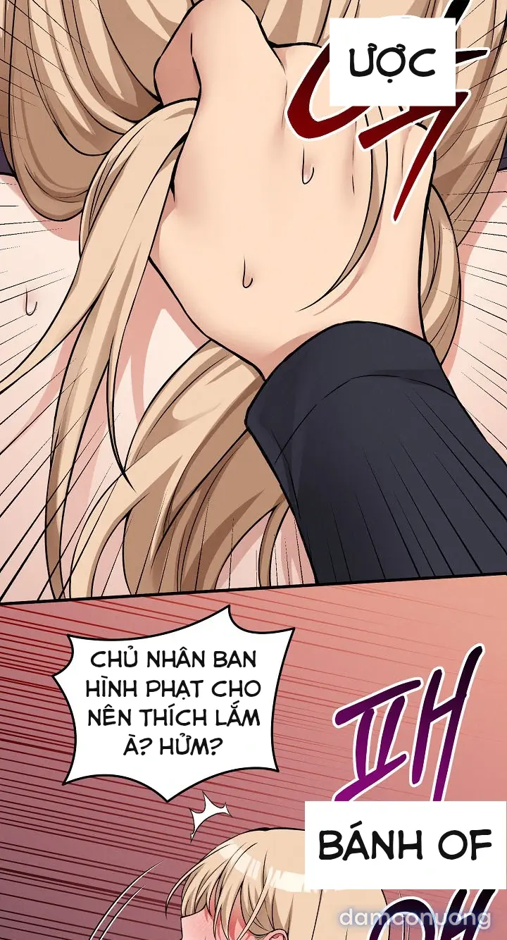 Trò chơi cờ bàn thú vị: 