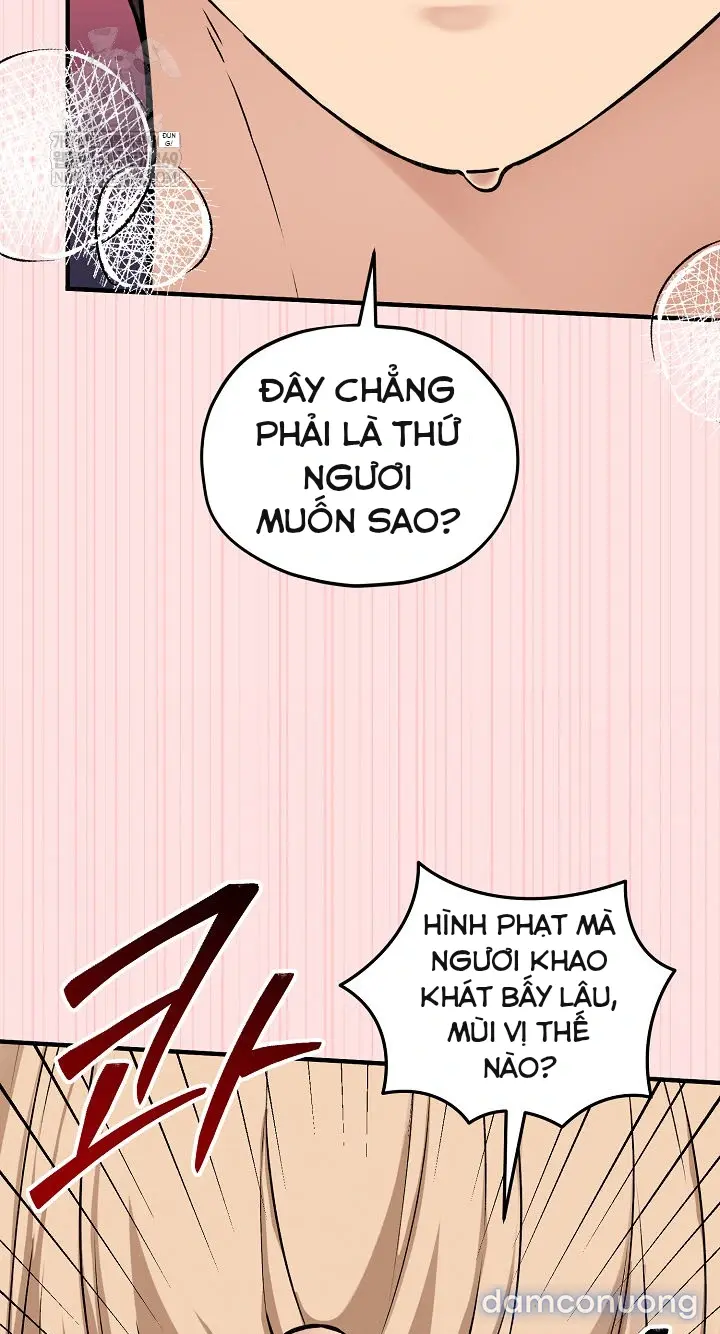 Trò chơi cờ bàn thú vị: 