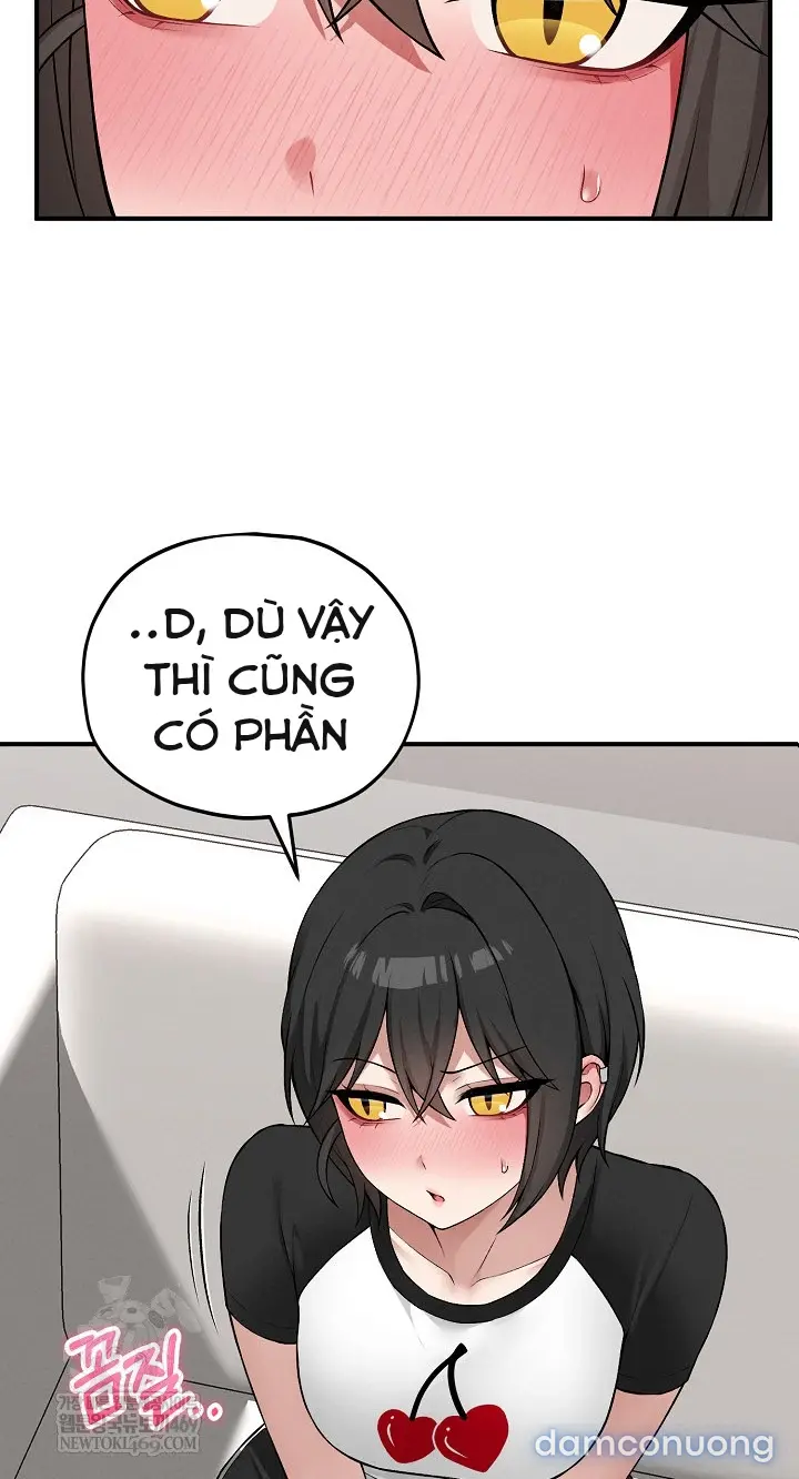 Trò chơi cờ bàn thú vị: 