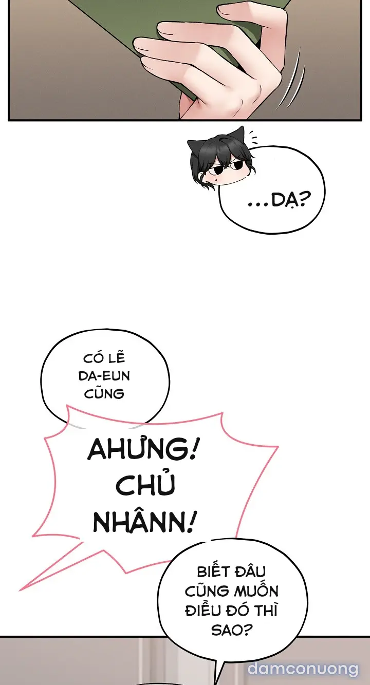Trò chơi cờ bàn thú vị: 