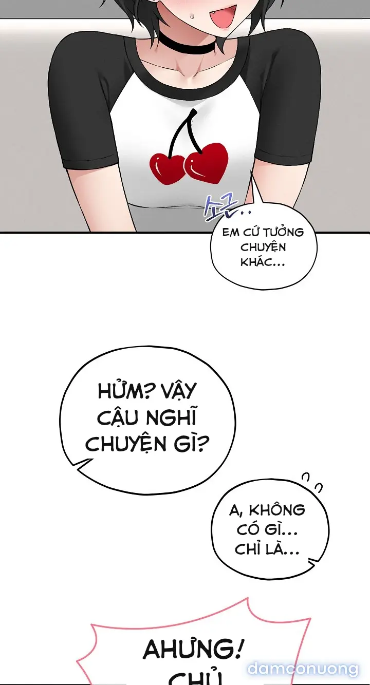 Trò chơi cờ bàn thú vị: 
