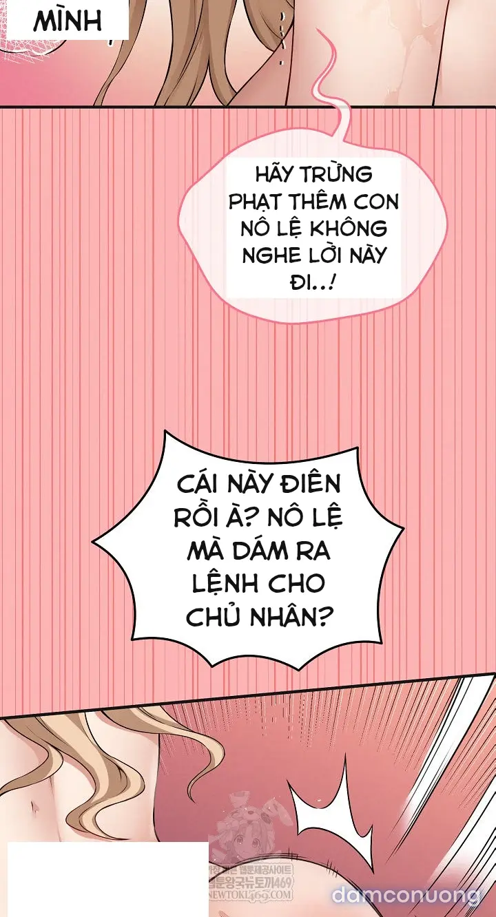 Trò chơi cờ bàn thú vị: 