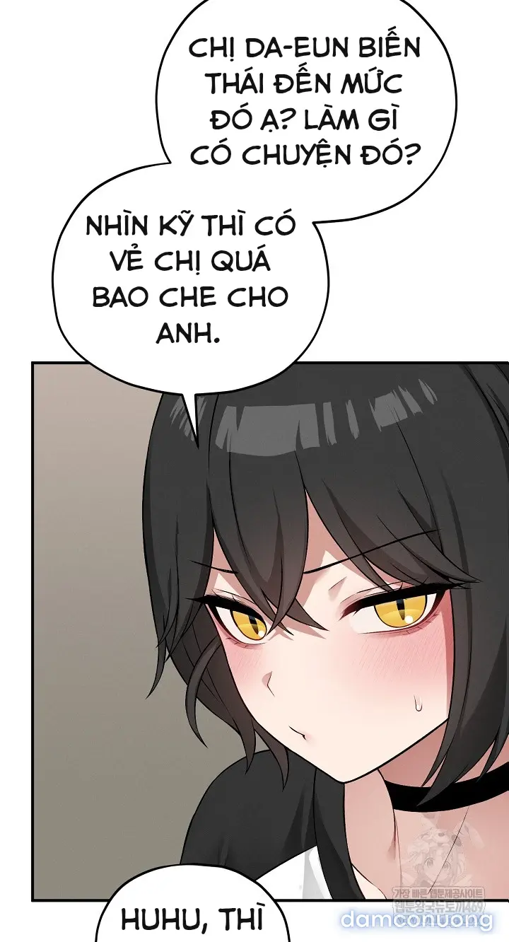 Trò chơi cờ bàn thú vị: 