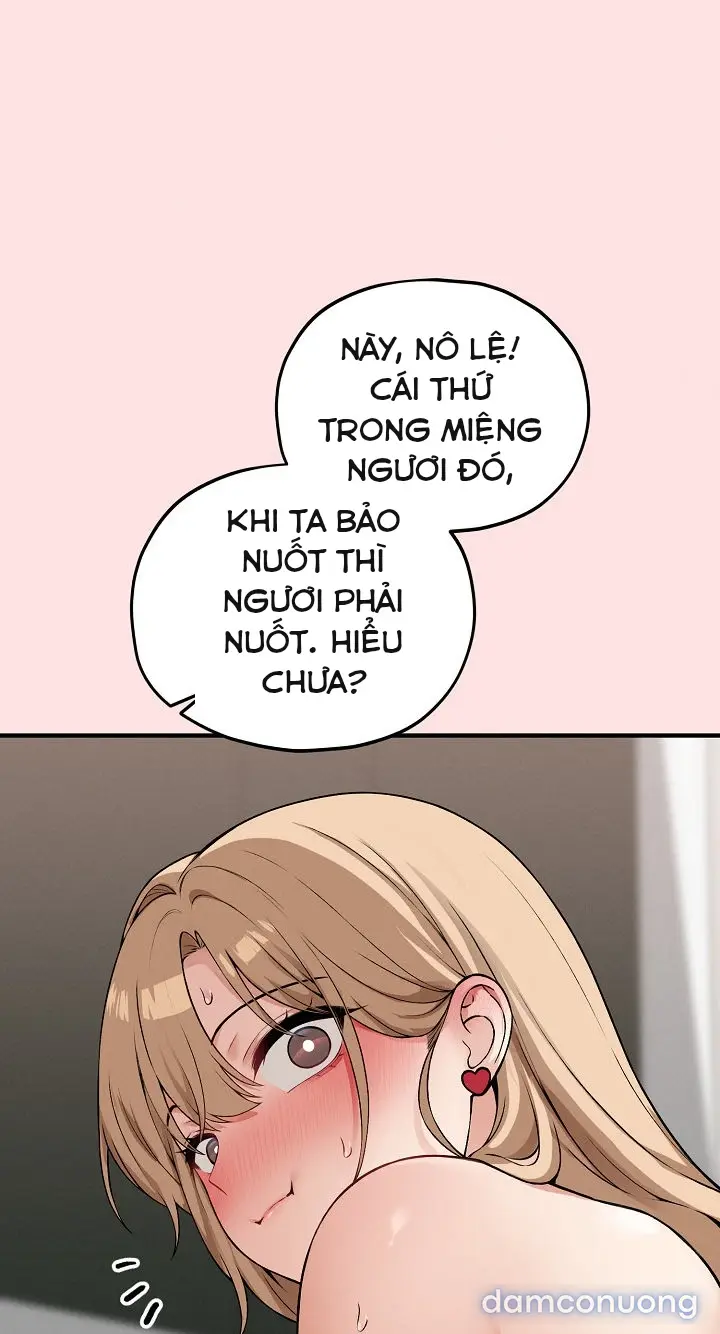 Trò chơi cờ bàn thú vị: 