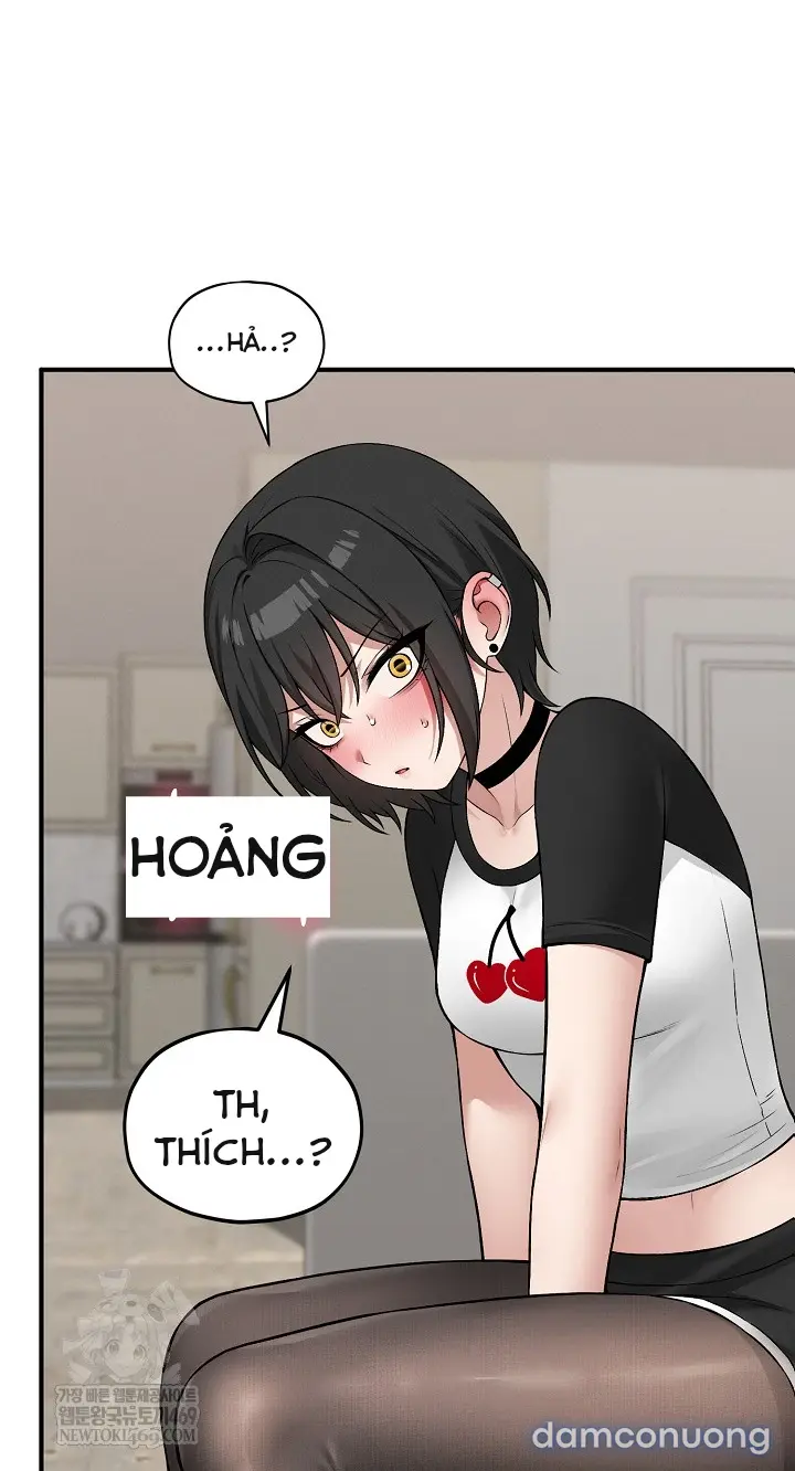 Trò chơi cờ bàn thú vị: 