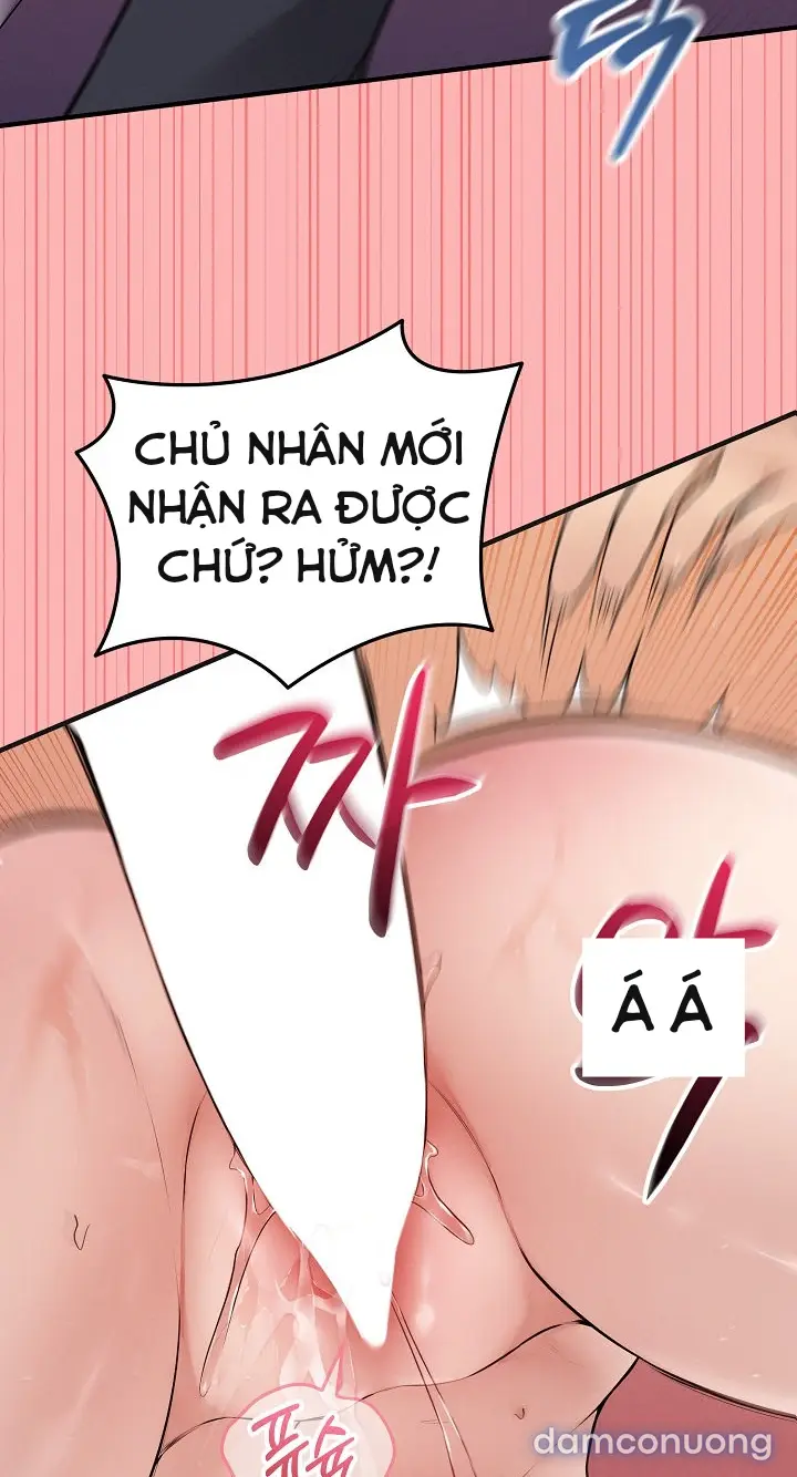 Trò chơi cờ bàn thú vị: 