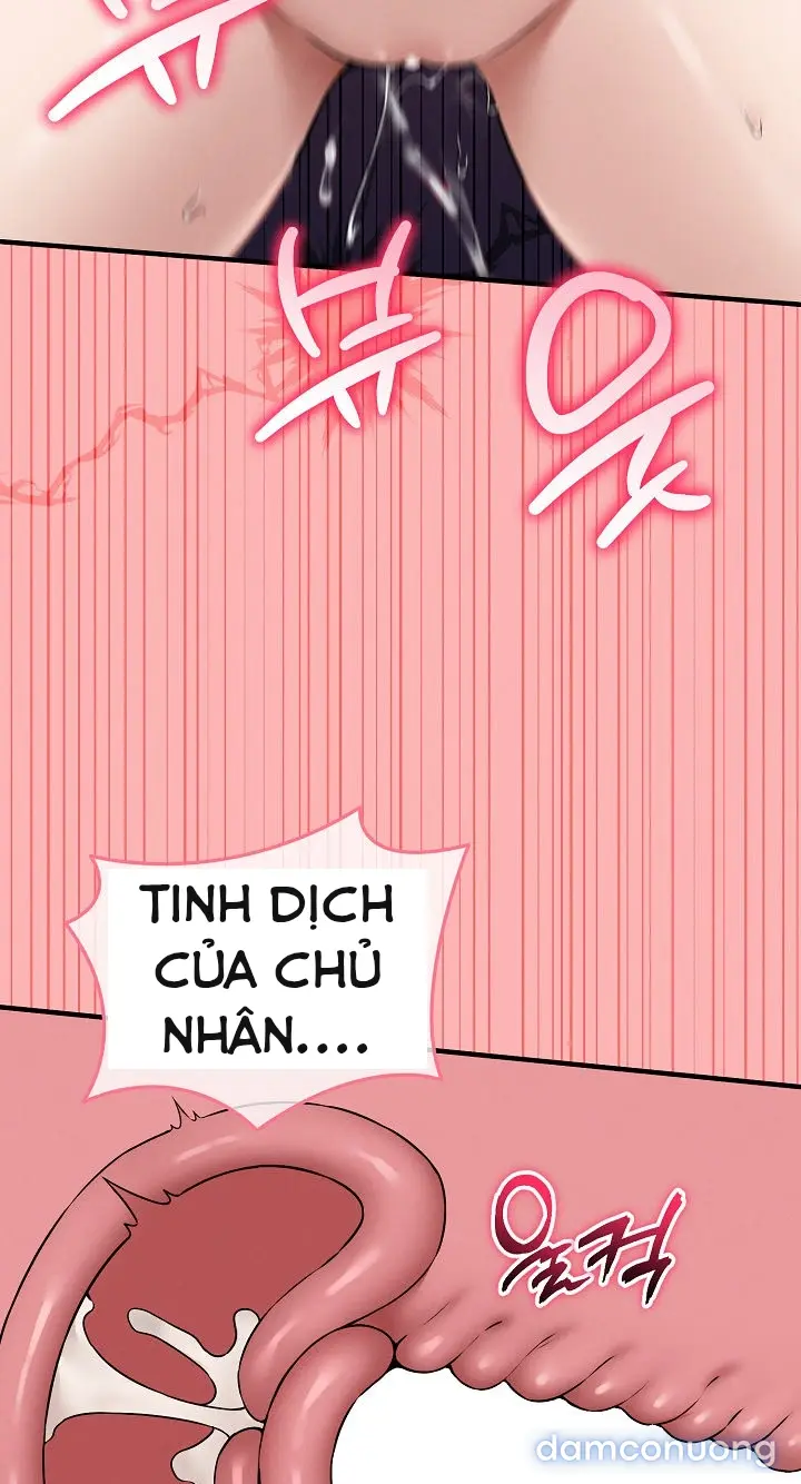 Trò chơi cờ bàn thú vị: 