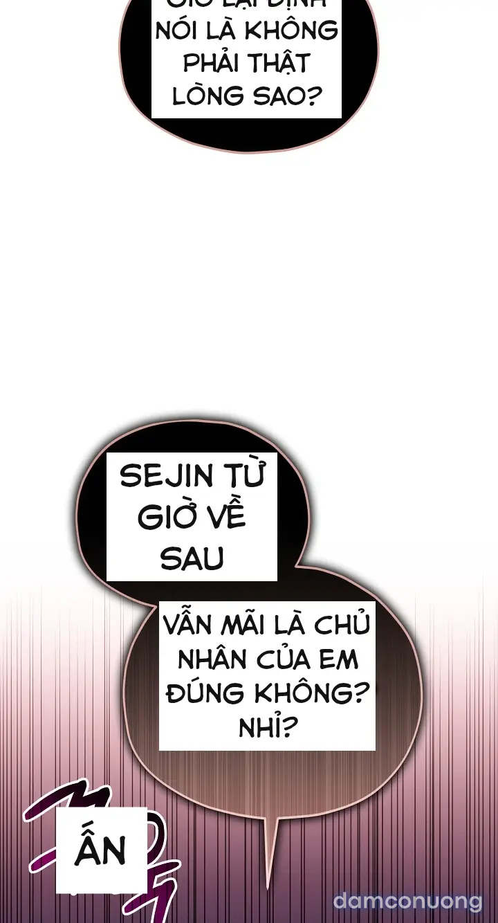 Trò chơi cờ bàn thú vị: 