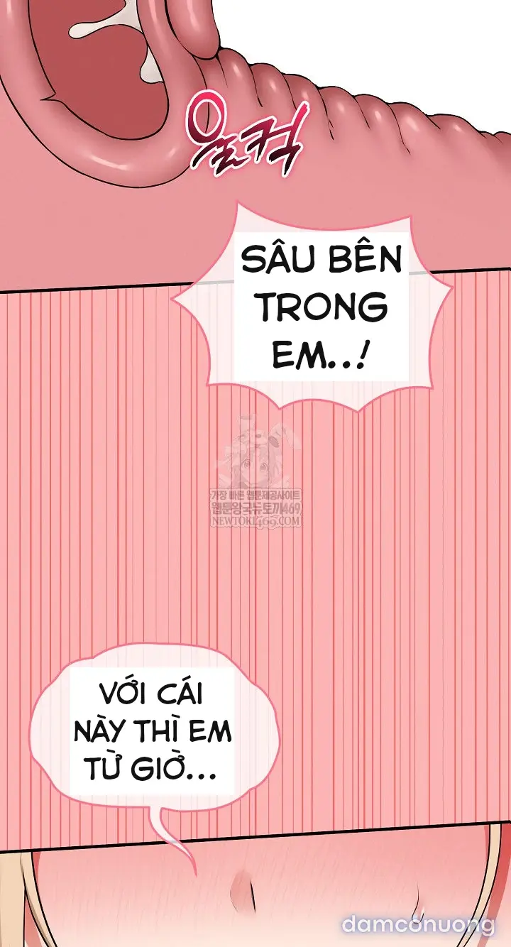Trò chơi cờ bàn thú vị: 