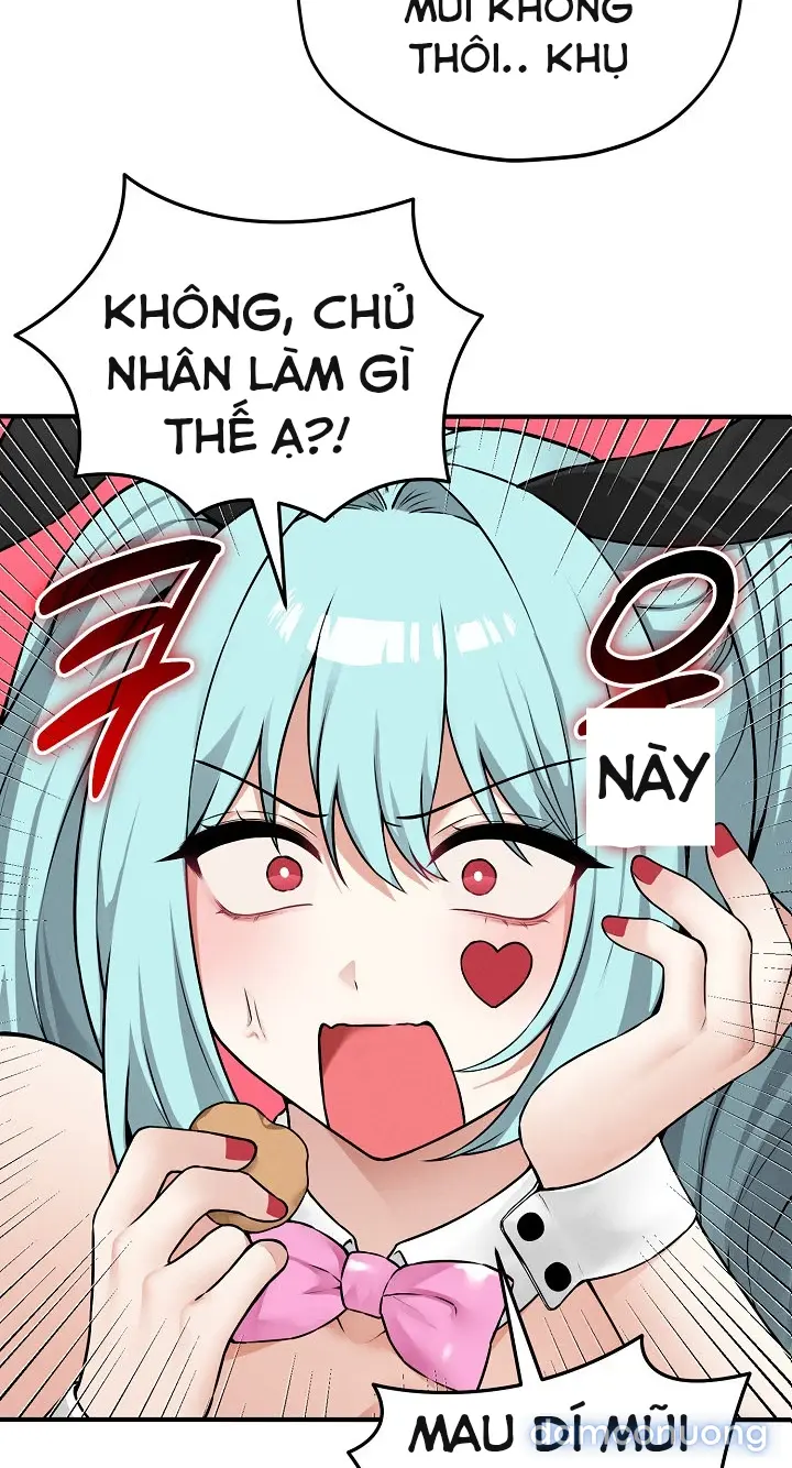 Trò chơi cờ bàn thú vị: 