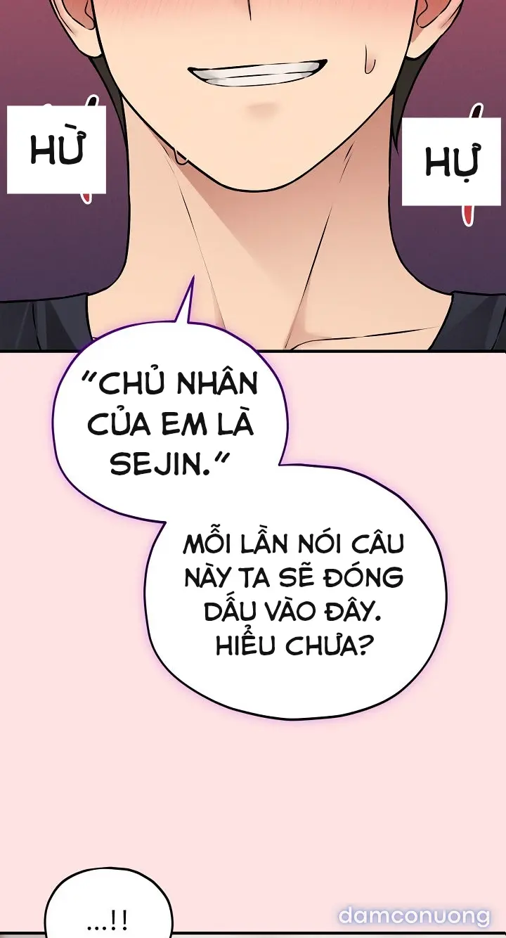 Trò chơi cờ bàn thú vị: 
