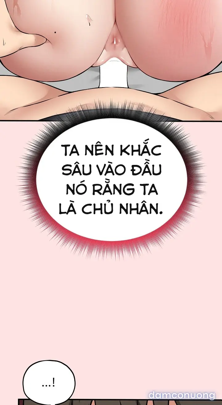 Trò chơi cờ bàn thú vị: 