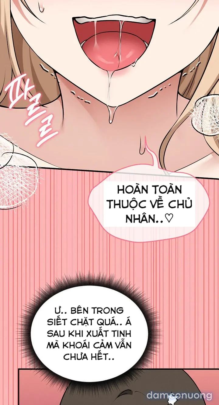 Trò chơi cờ bàn thú vị: 