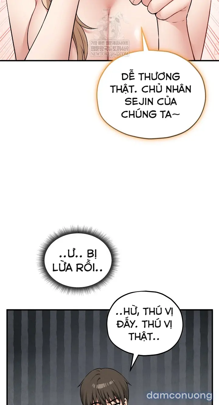 Trò chơi cờ bàn thú vị: 