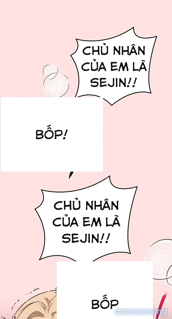 Trò chơi cờ bàn thú vị: 