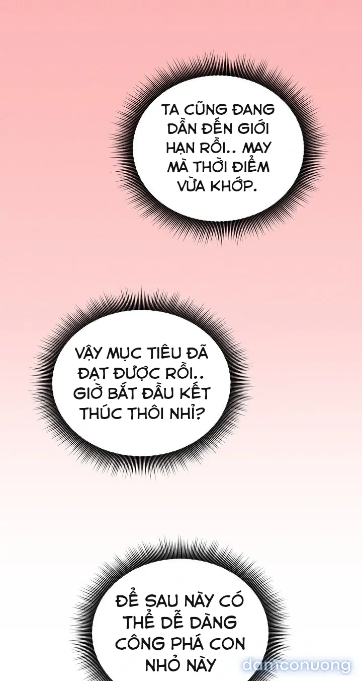 Trò chơi cờ bàn thú vị: 