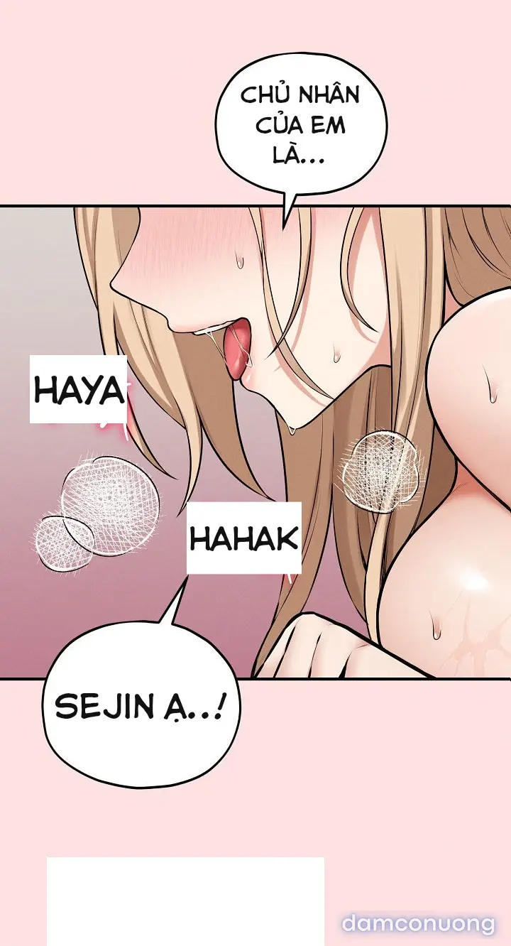Trò chơi cờ bàn thú vị: 