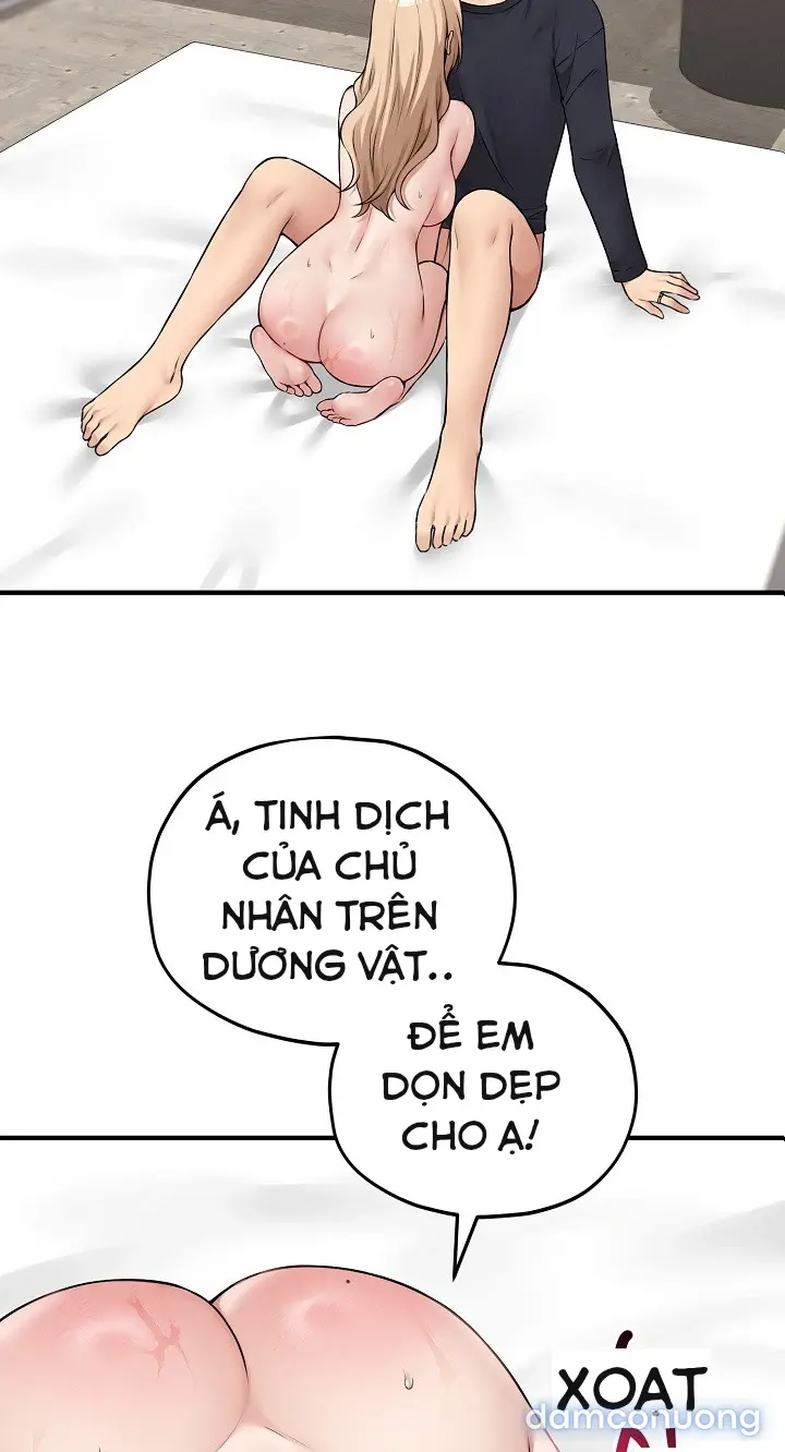 Trò chơi cờ bàn thú vị: 