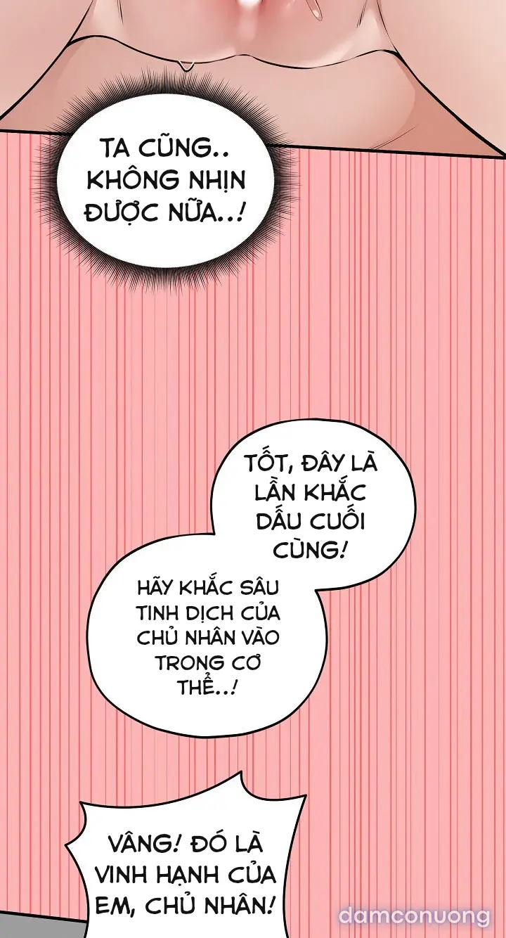 Trò chơi cờ bàn thú vị: 