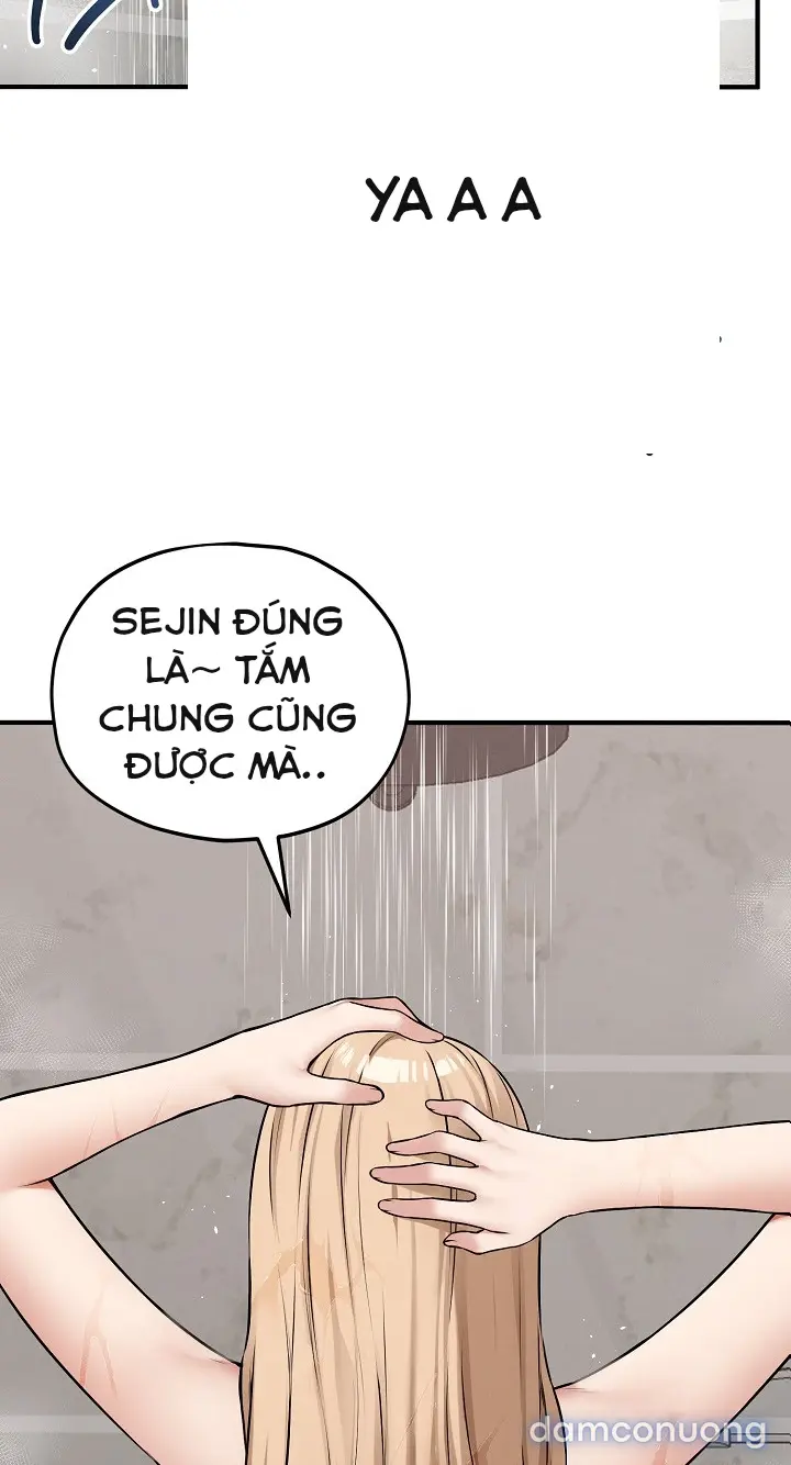 Trò chơi cờ bàn thú vị: 