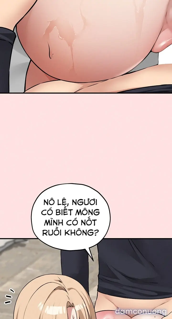 Trò chơi cờ bàn thú vị: 