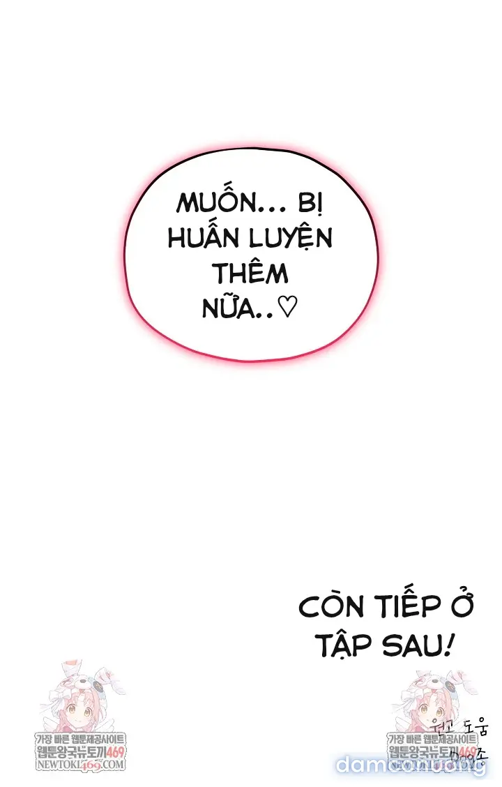Trò chơi cờ bàn thú vị: 