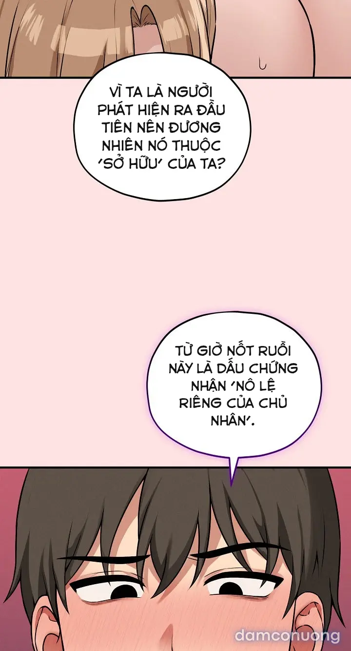 Trò chơi cờ bàn thú vị: 