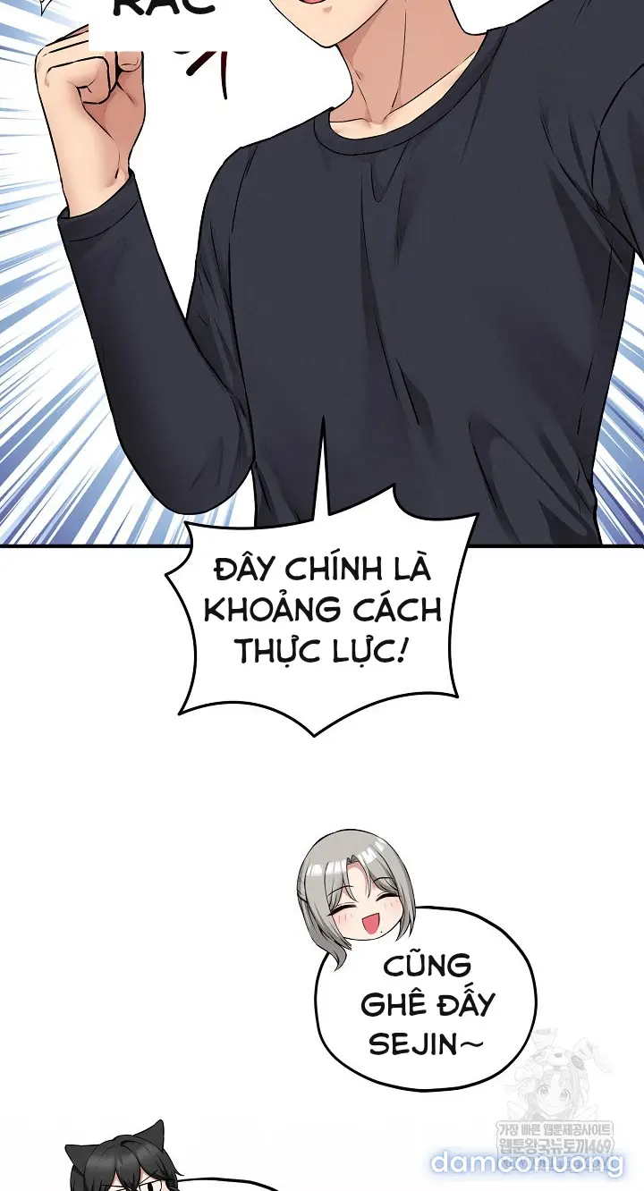 Trò chơi cờ bàn thú vị: 