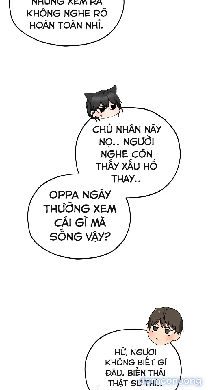 Trò chơi cờ bàn thú vị: 