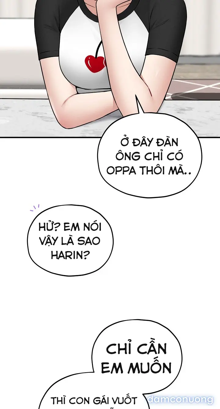 Trò chơi cờ bàn thú vị: 
