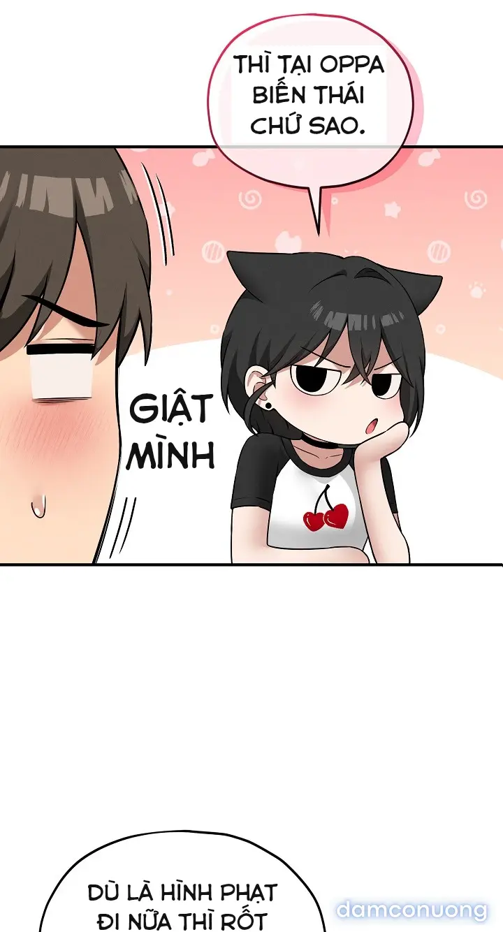 Trò chơi cờ bàn thú vị: 