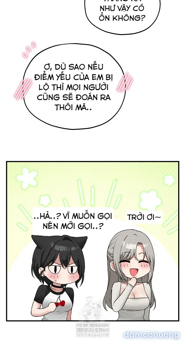 Trò chơi cờ bàn thú vị: 