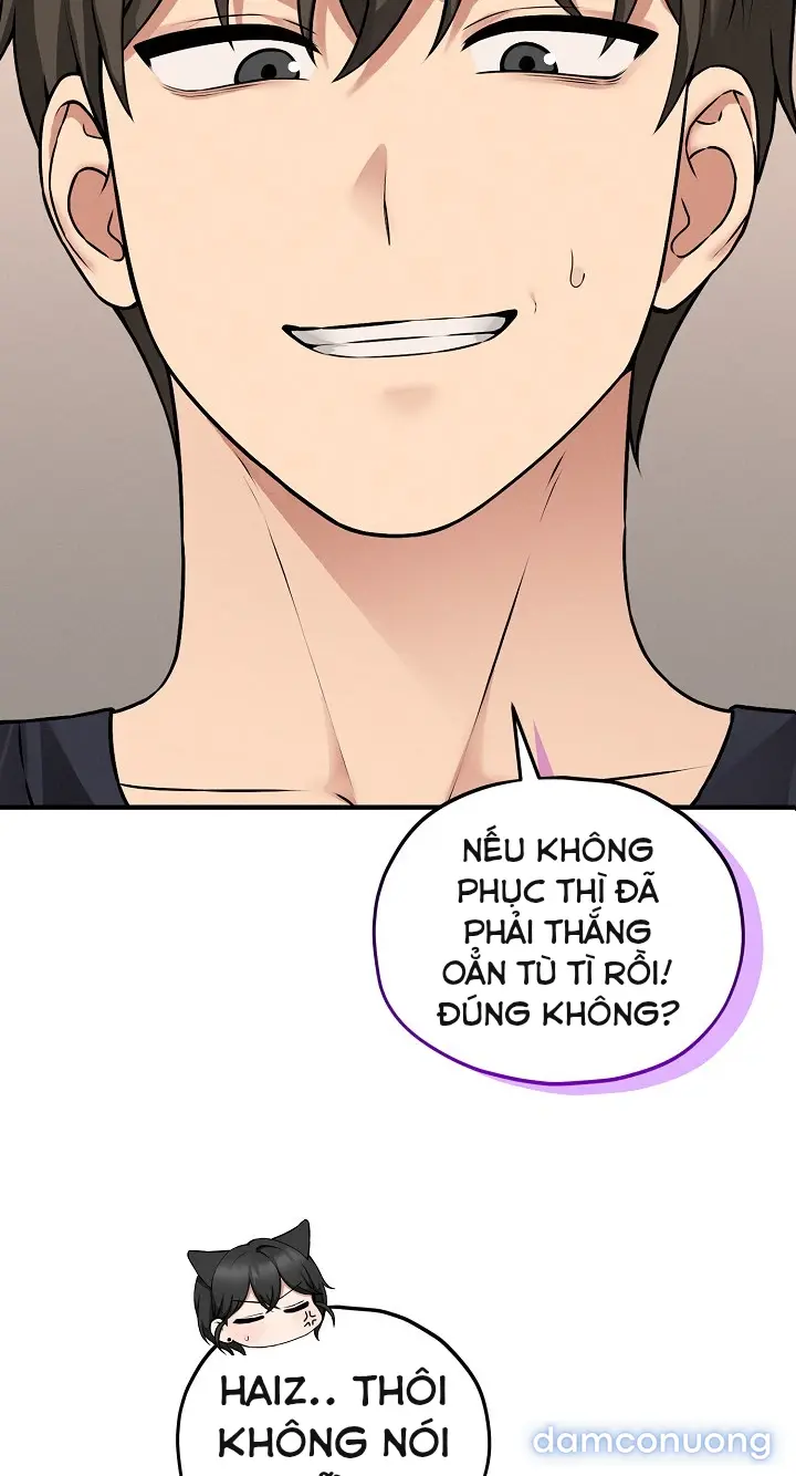 Trò chơi cờ bàn thú vị: 