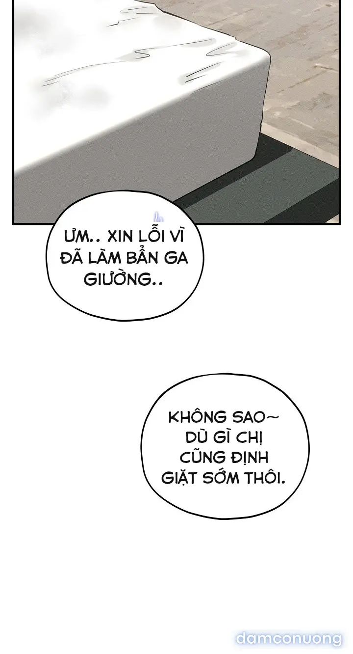 Trò chơi cờ bàn thú vị: 