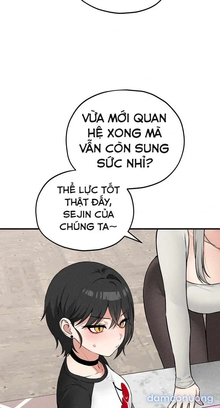 Trò chơi cờ bàn thú vị: 